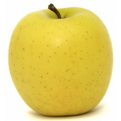 Ябълка златна превъзходна Цена за 100g