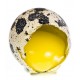 Яйца от пъдпъдък 12бр