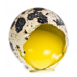 Яйца от пъдпъдъци 12бр.